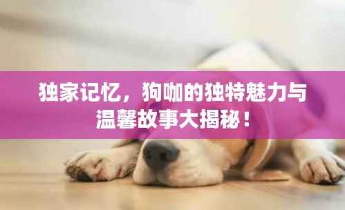 独家记忆，狗咖的独特魅力与温馨故事大揭秘！