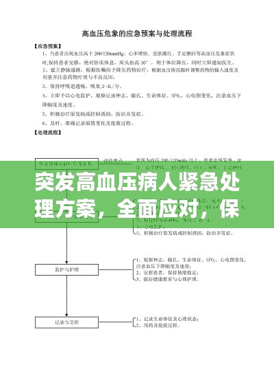 突发高血压病人紧急处理方案,全面应对,保障健康
