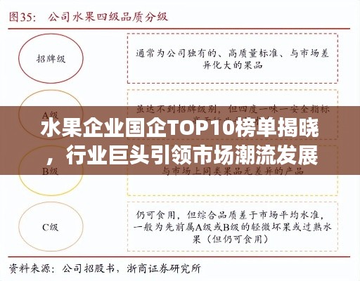 水果企业国企TOP10榜单揭晓,行业巨头引领市场潮流发展