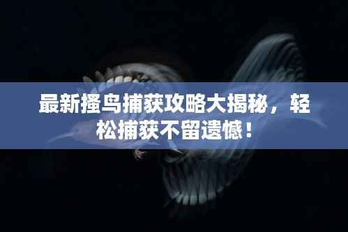 最新搔鸟捕获攻略大揭秘，轻松捕获不留遗憾！