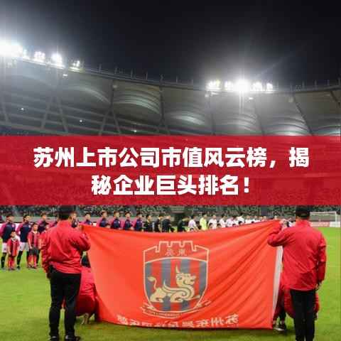 苏州上市公司市值风云榜,揭秘企业巨头排名!