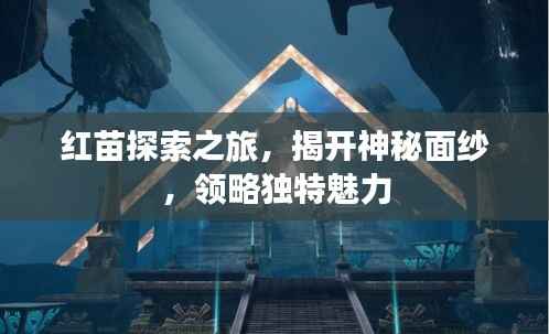 红苗探索之旅,揭开神秘面纱,领略独特魅力