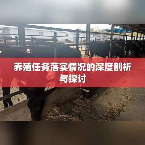 养殖任务落实情况的深度剖析与探讨