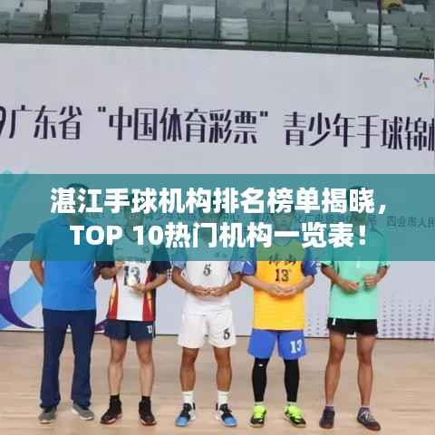 湛江手球机构排名榜单揭晓,TOP 10热门机构一览表!