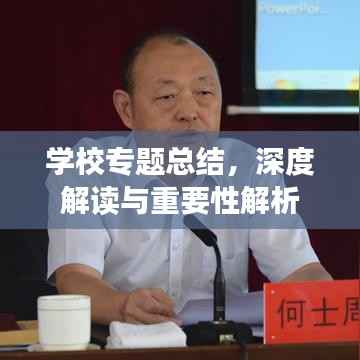学校专题总结,深度解读与重要性解析
