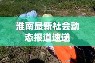 淮南最新社会动态报道速递