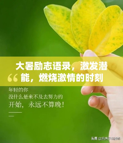 大暑励志语录，激发潜能，燃烧激情的时刻