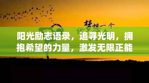 阳光励志语录,追寻光明,拥抱希望的力量,激发无限正能量!